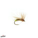 Resting Caddis - The Blue Quill Angler