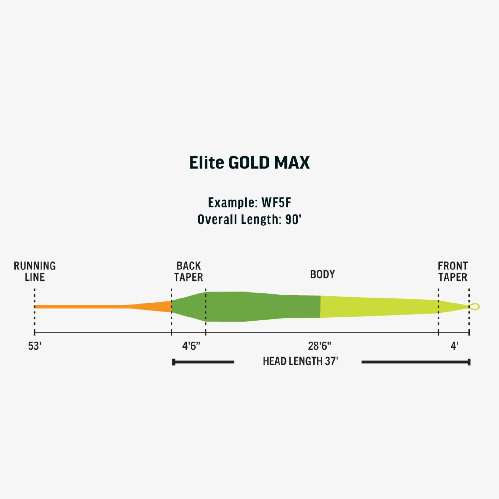 Rio Elite Gold MAX - The Blue Quill Angler