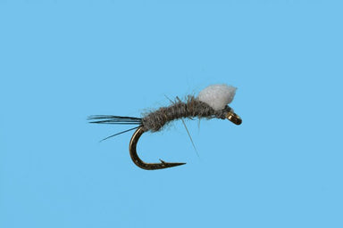 RS2 Foam Wing Emerger - The Blue Quill Angler
