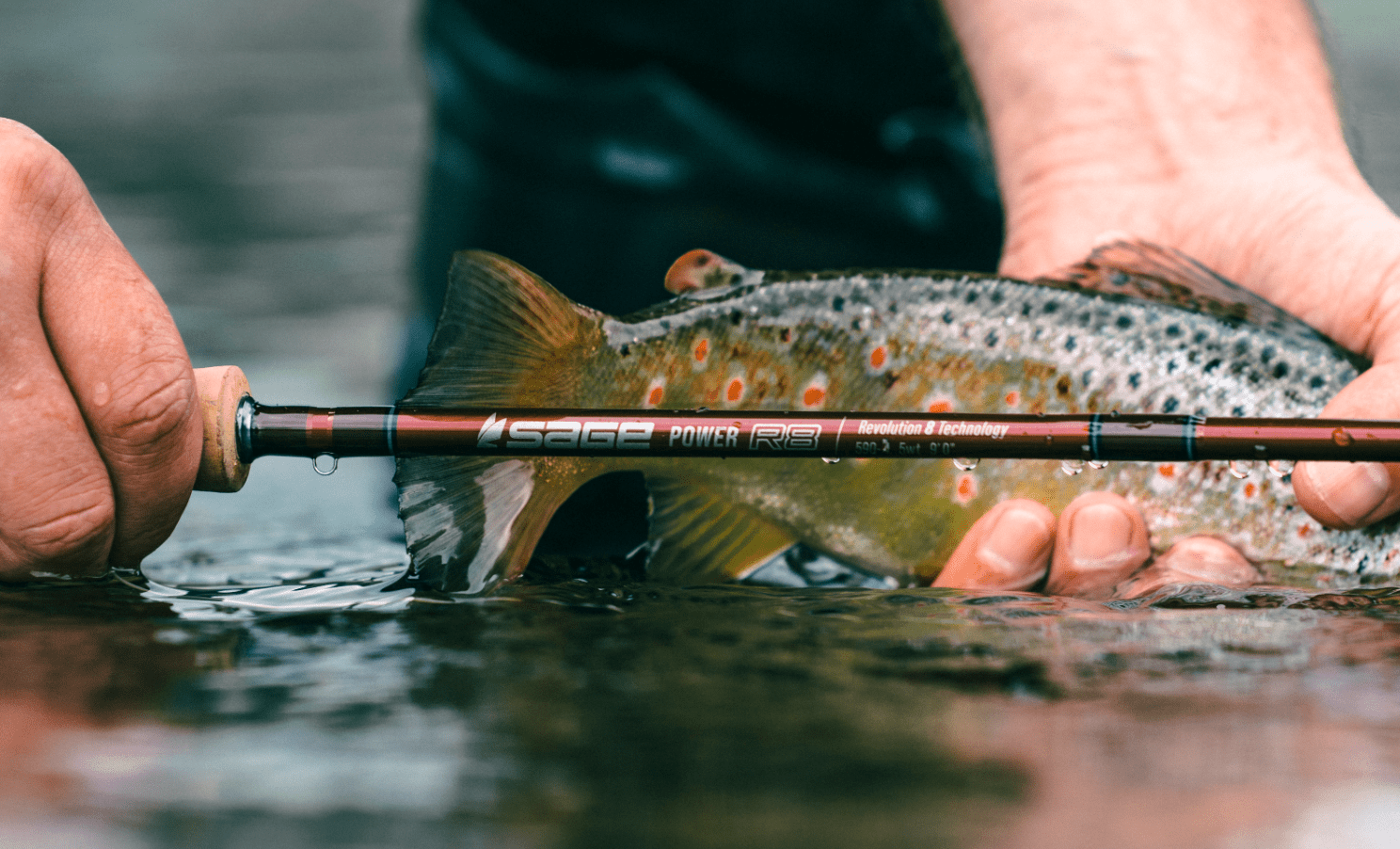 Sage Power R8 - The Blue Quill Angler