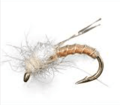 Shafer's Punch It Caddis - The Blue Quill Angler