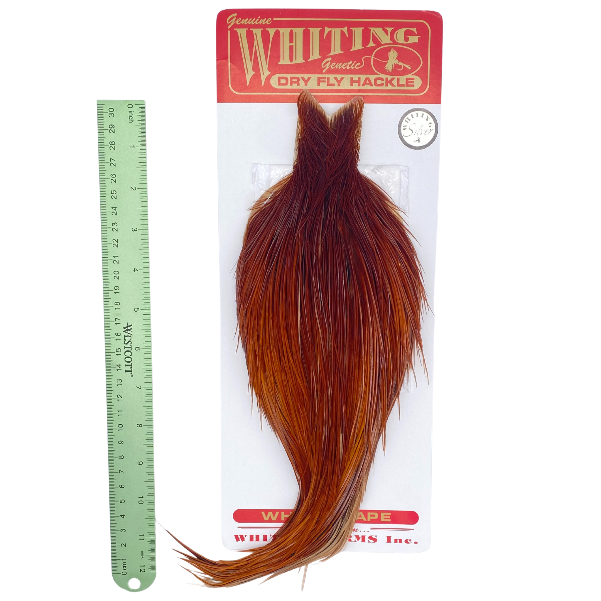 Whiting Rooster Cape - Silver Grade