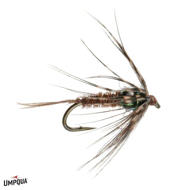 Soft Hackle Pheasant Tail - The Blue Quill Angler