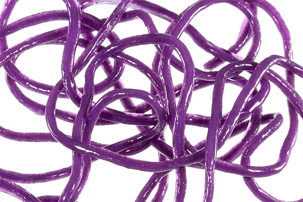 Trina's Squirm Material - The Blue Quill Angler