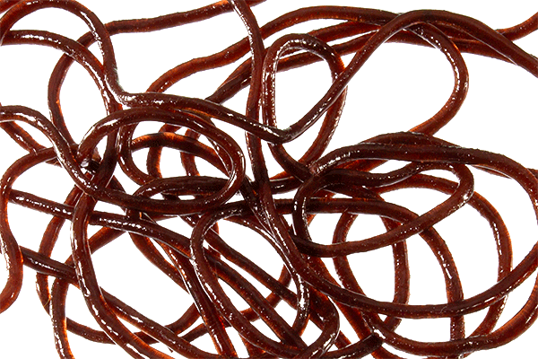 Trina's Squirm Material - The Blue Quill Angler