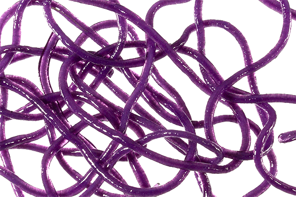 Trina's Squirm Material - The Blue Quill Angler