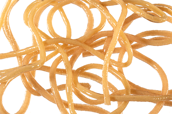 Trina's Squirm Material - The Blue Quill Angler