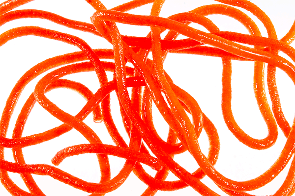 Trina's Squirm Material - The Blue Quill Angler