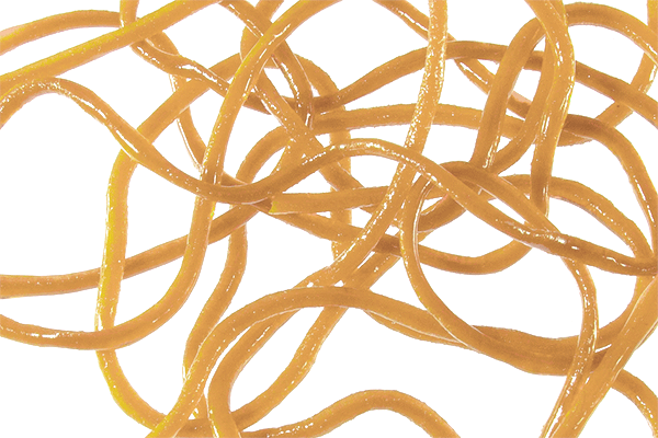 Trina's Squirm Material - The Blue Quill Angler