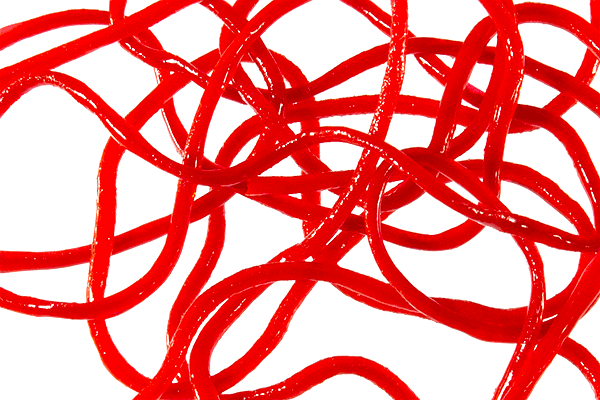 Trina's Squirm Material - The Blue Quill Angler