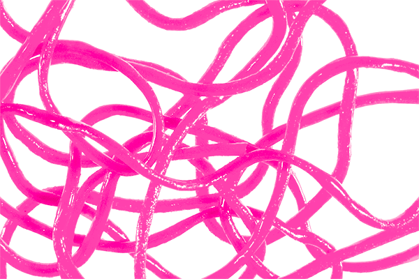 Trina's Squirm Material - The Blue Quill Angler