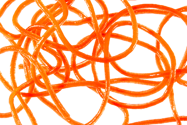 Trina's Squirm Material - The Blue Quill Angler