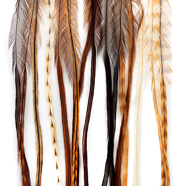 Whiting 100 Pack - #16 - The Blue Quill Angler