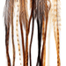 Whiting 100 Pack - #16 - The Blue Quill Angler