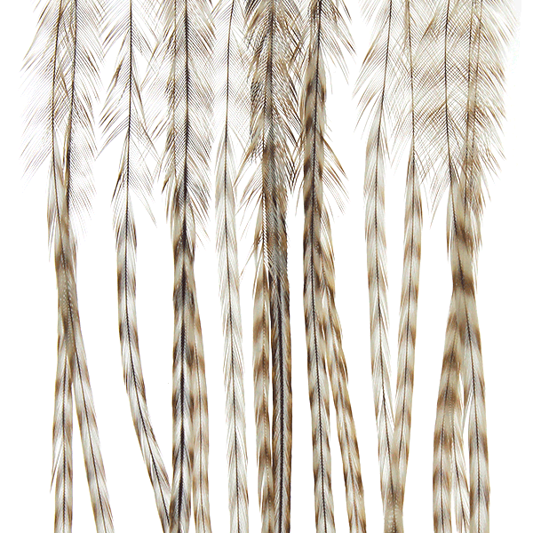Whiting 100 Pack - 16 - The Blue Quill Angler