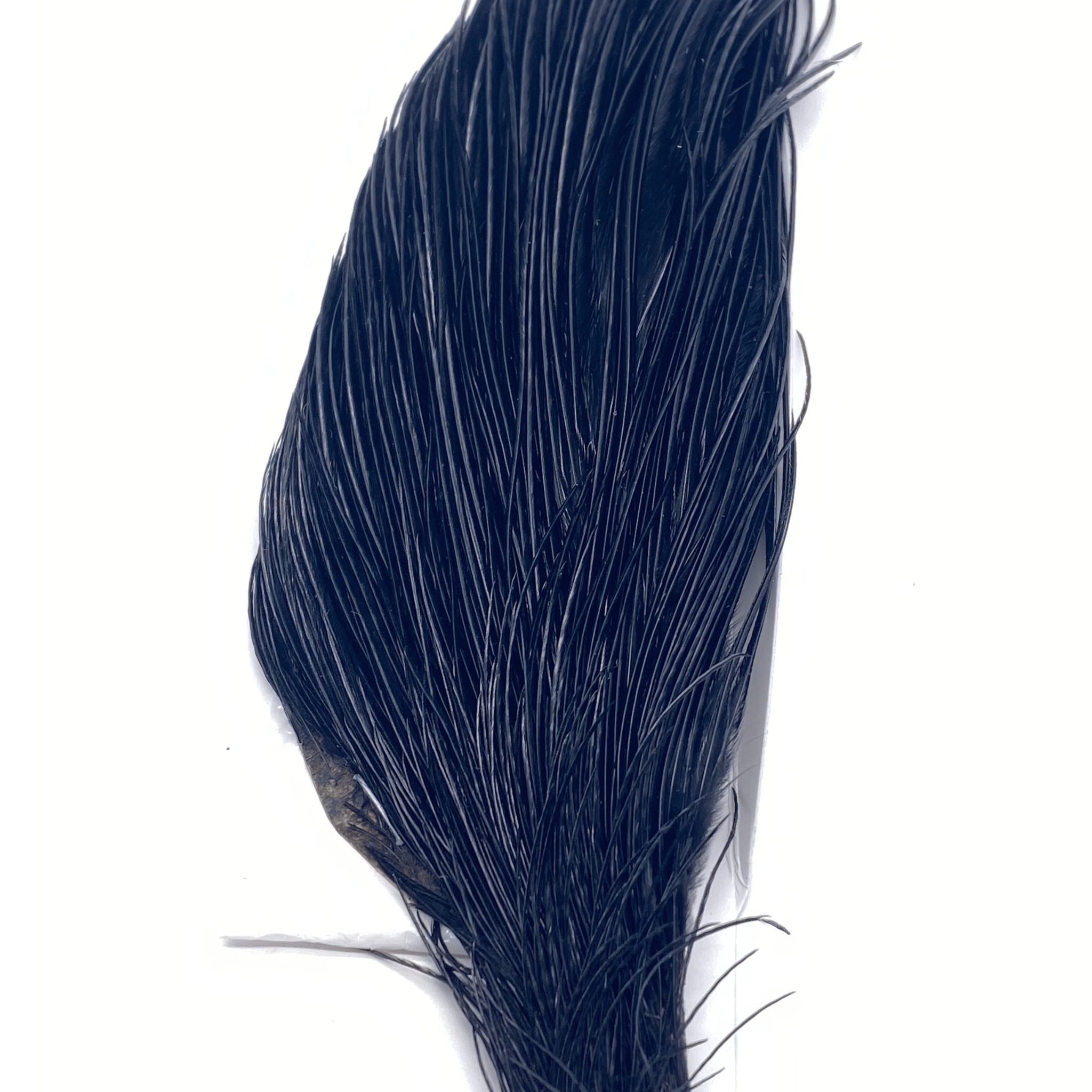 Whiting 1/2 Cape - Bronze Grade - The Blue Quill Angler