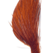 Whiting 1/2 Cape - Bronze Grade - The Blue Quill Angler