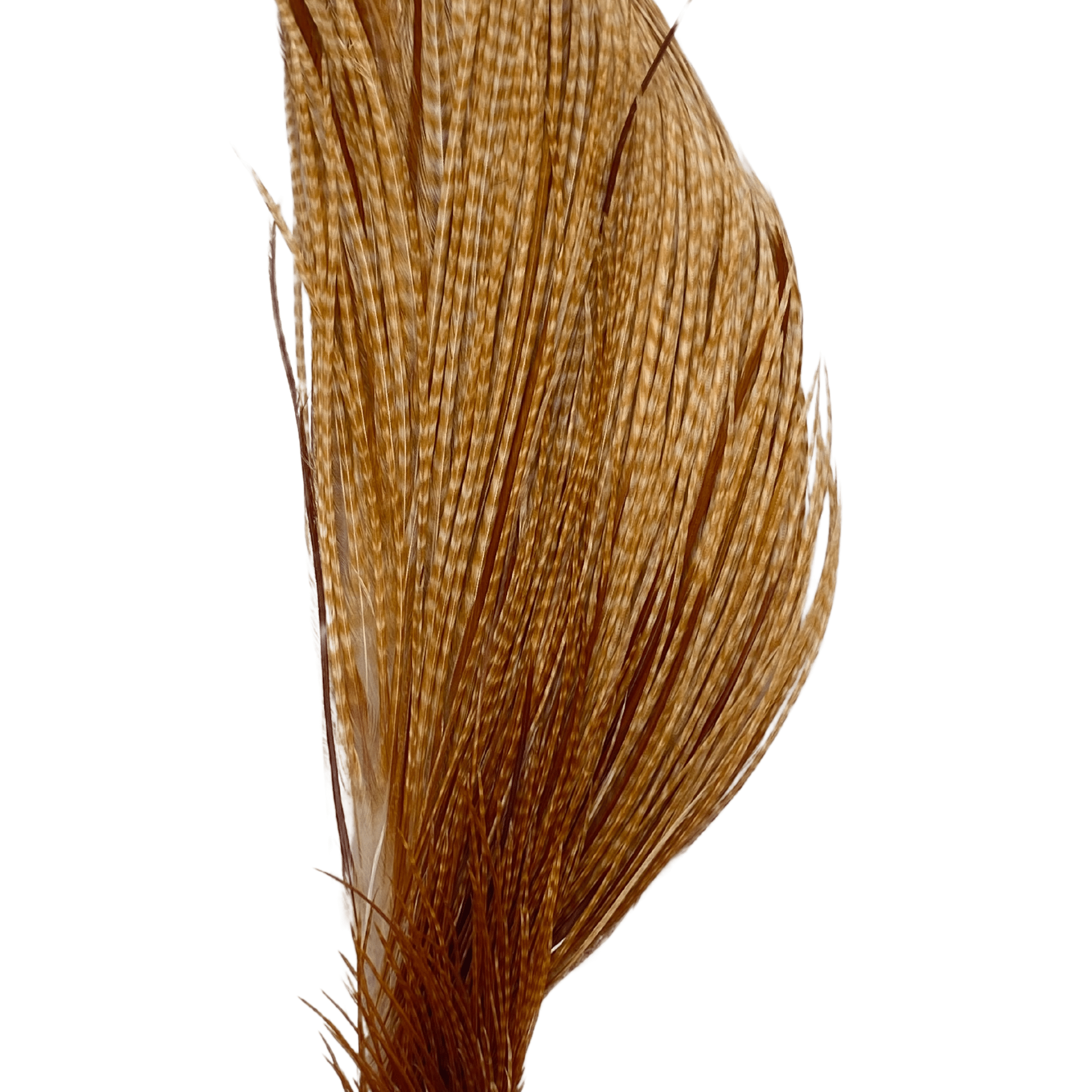 Whiting 1/2 Cape - Bronze Grade - The Blue Quill Angler