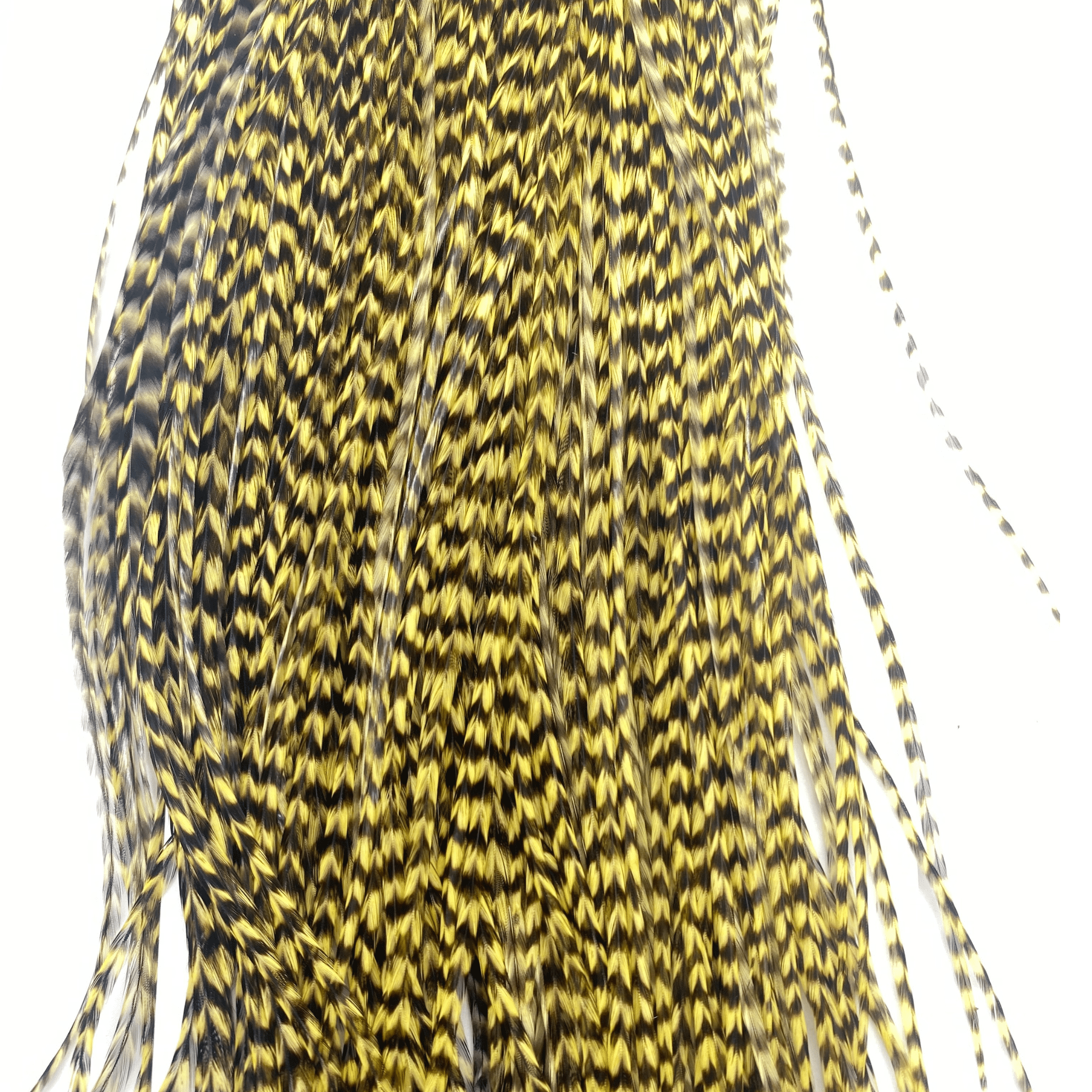 Whiting 1/2 Saddle - Bronze Grade - The Blue Quill Angler