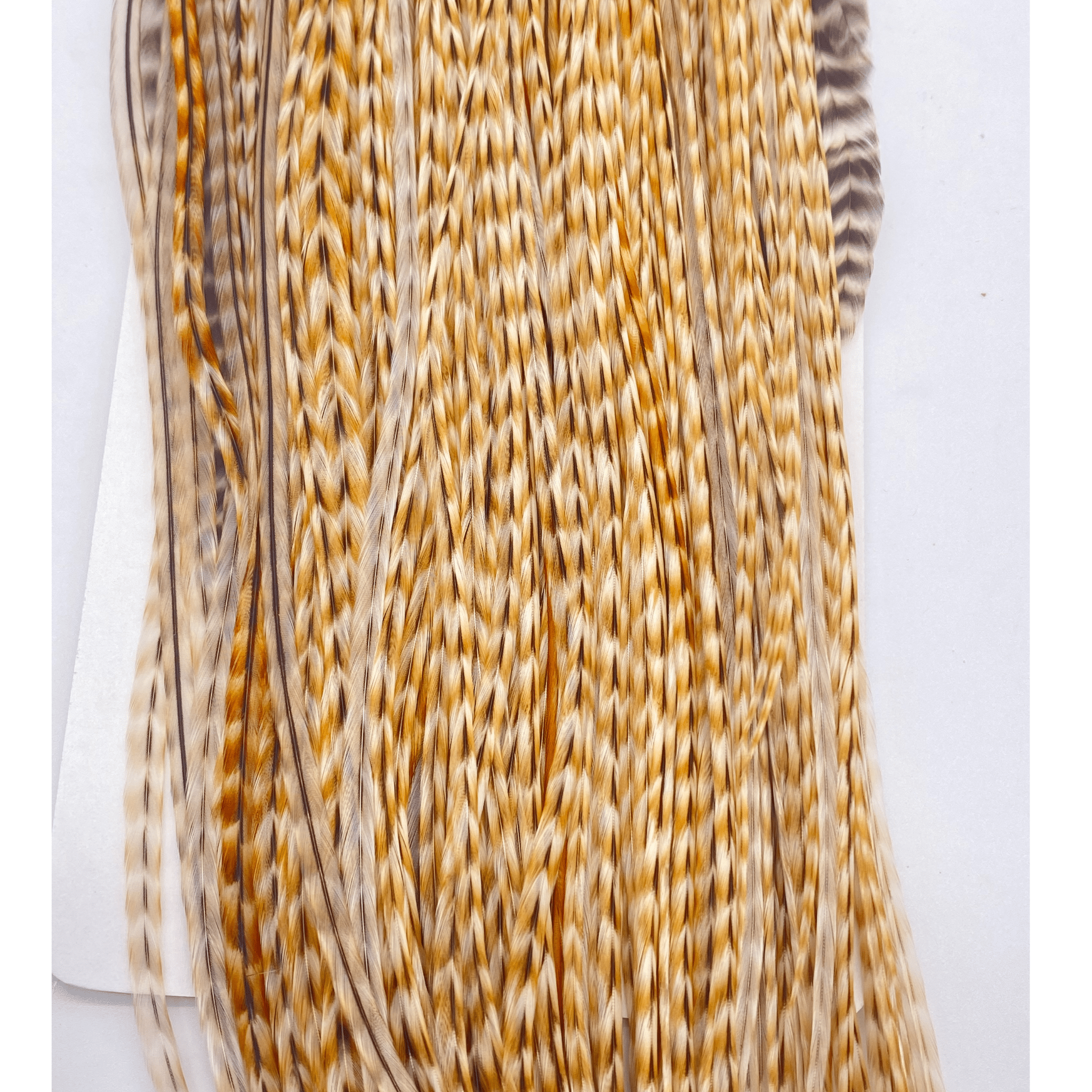 Whiting 1/2 Saddle - Bronze Grade - The Blue Quill Angler