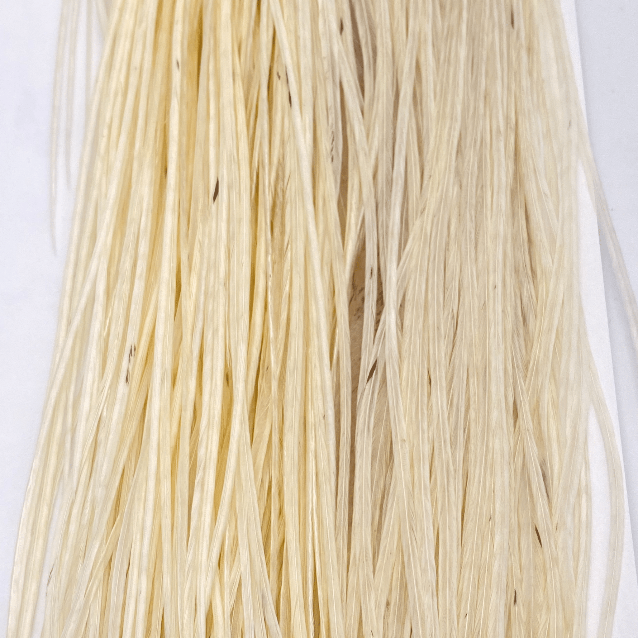 Whiting 1/2 Saddle - Bronze Grade - The Blue Quill Angler