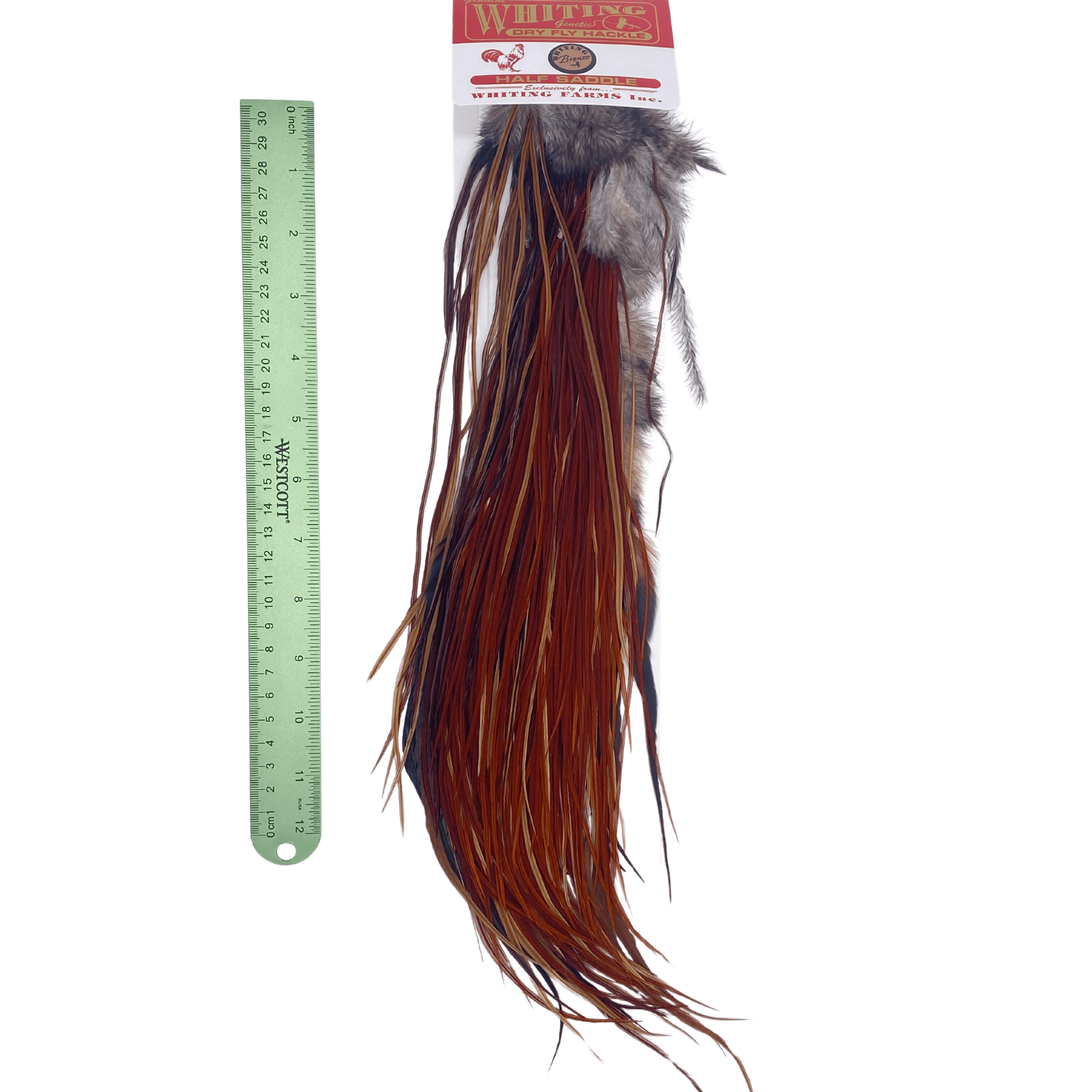 Whiting 1/2 Saddle - Bronze Grade - The Blue Quill Angler