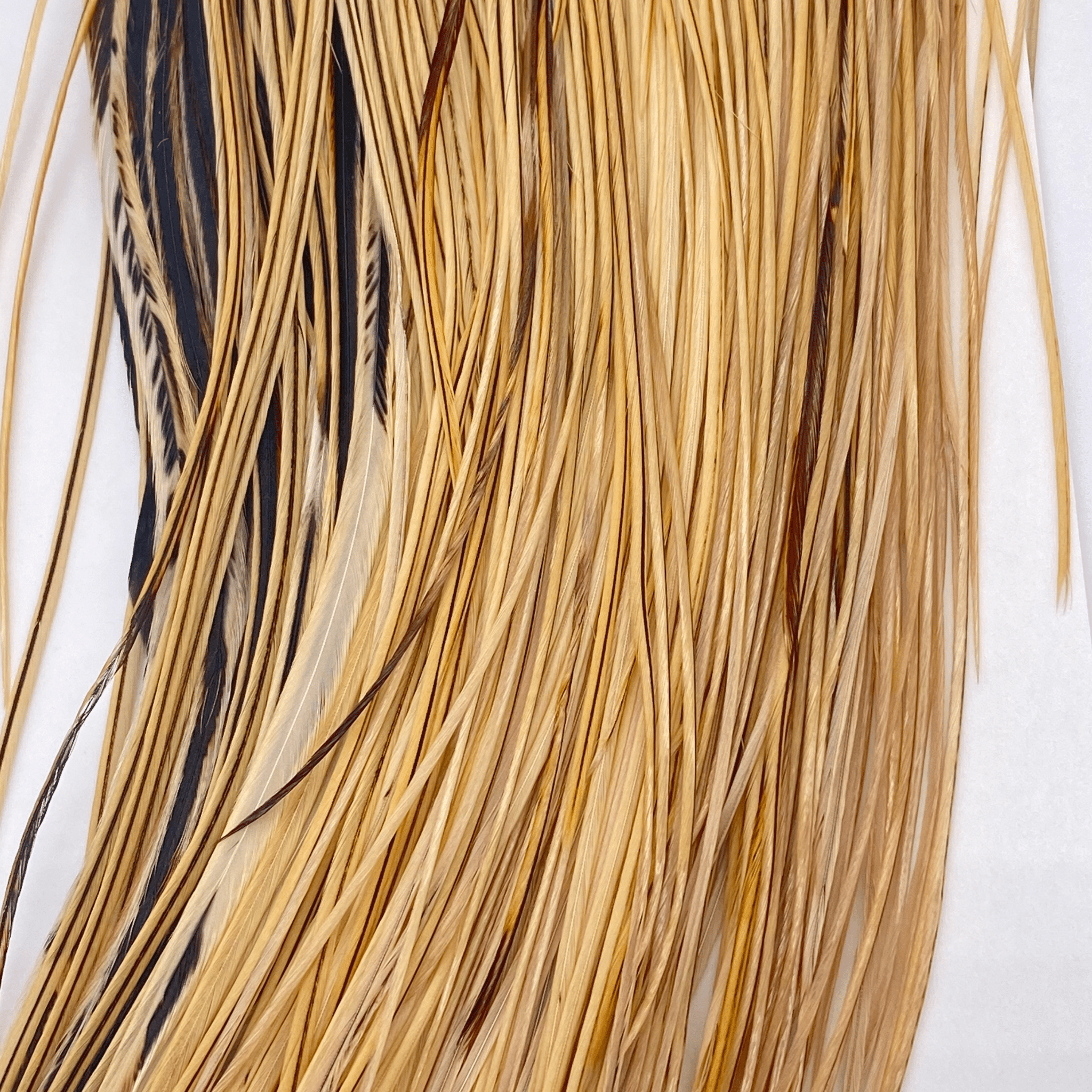 Whiting 1/2 Saddle - Bronze Grade - The Blue Quill Angler