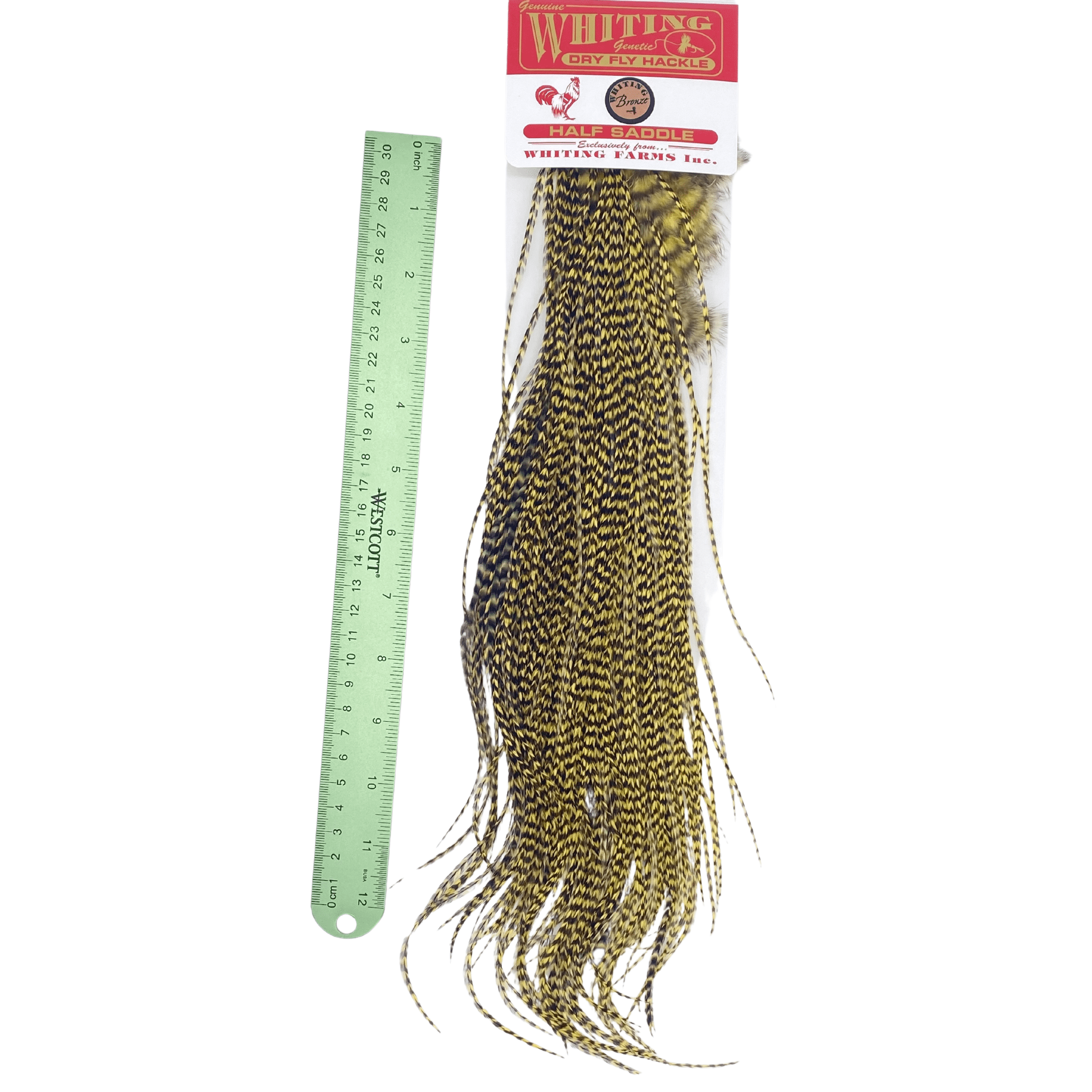 Whiting 1/2 Saddle - Bronze Grade - The Blue Quill Angler