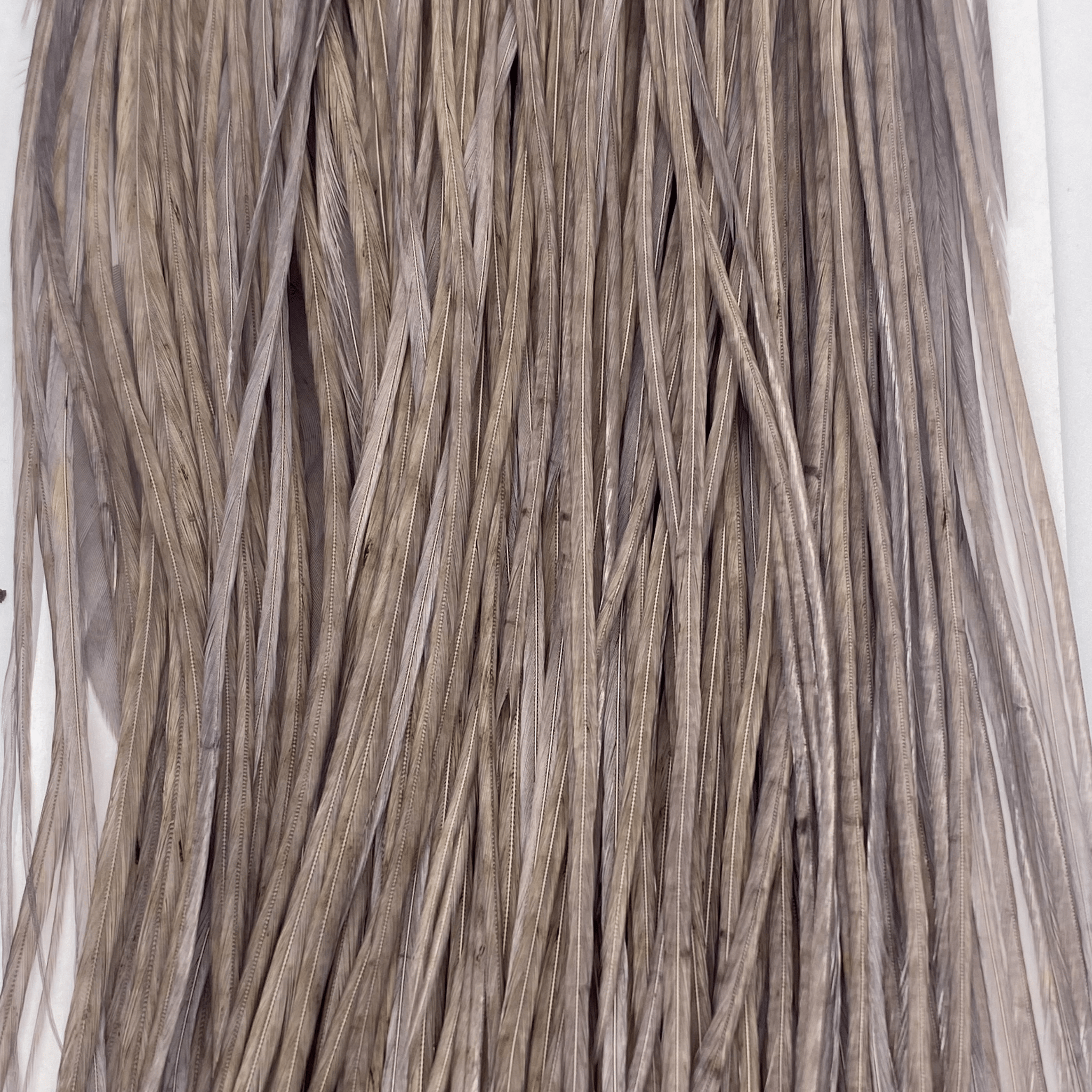 Whiting 1/2 Saddle - Bronze Grade - The Blue Quill Angler