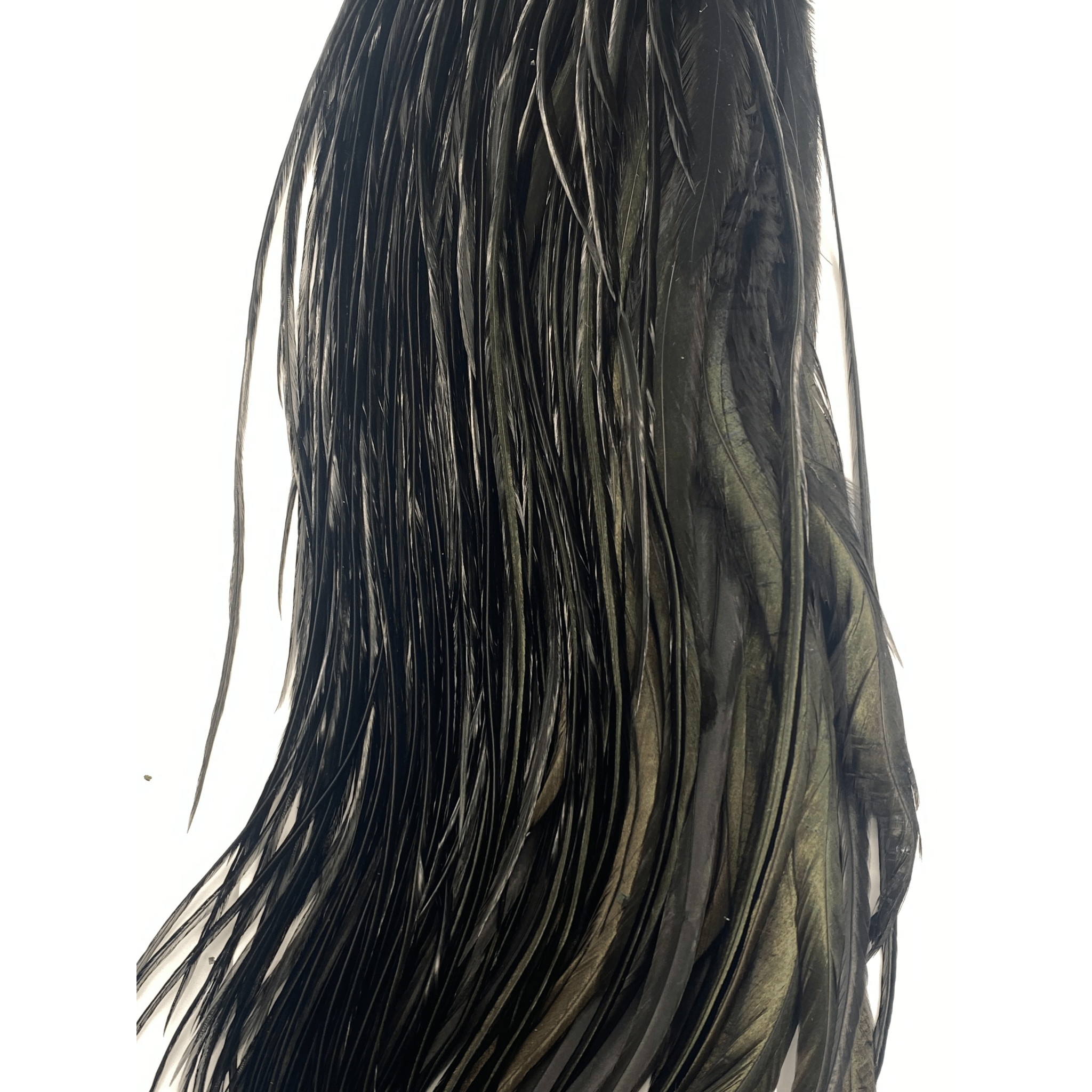 Whiting 1/2 Saddle - Bronze Grade - The Blue Quill Angler