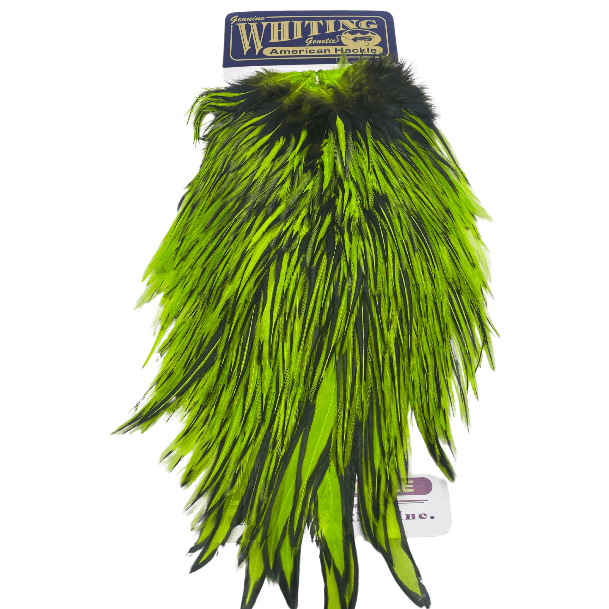 Whiting American Rooster Saddle - The Blue Quill Angler