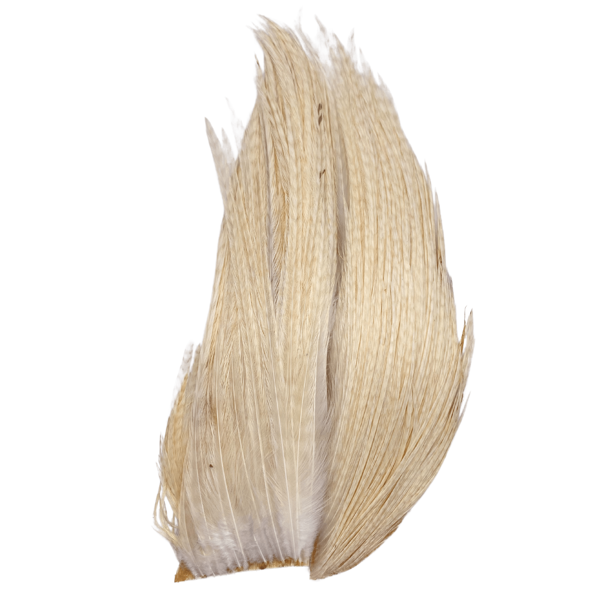 Whiting Bugger Pack - The Blue Quill Angler