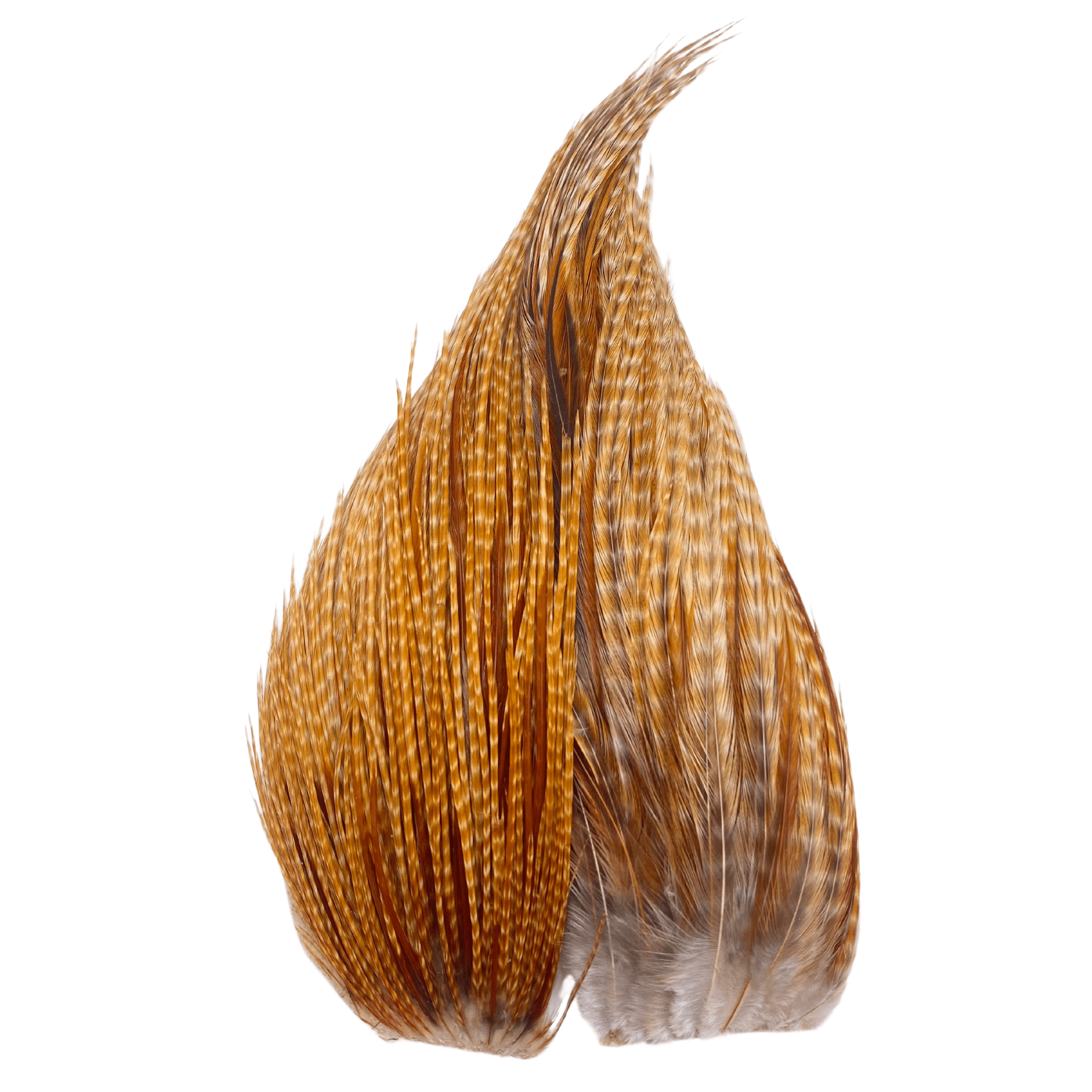 Whiting Bugger Pack - The Blue Quill Angler