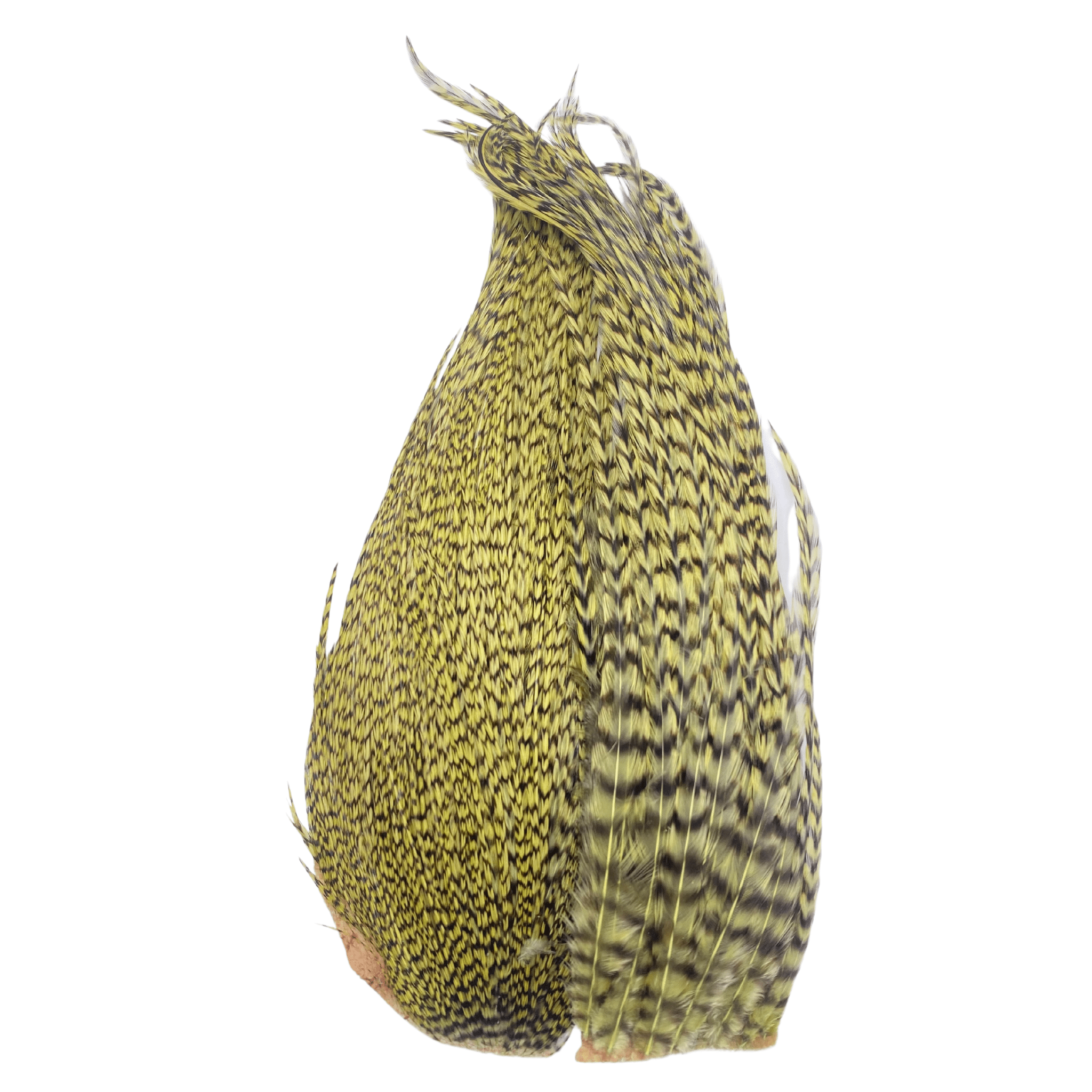 Whiting Bugger Pack - The Blue Quill Angler