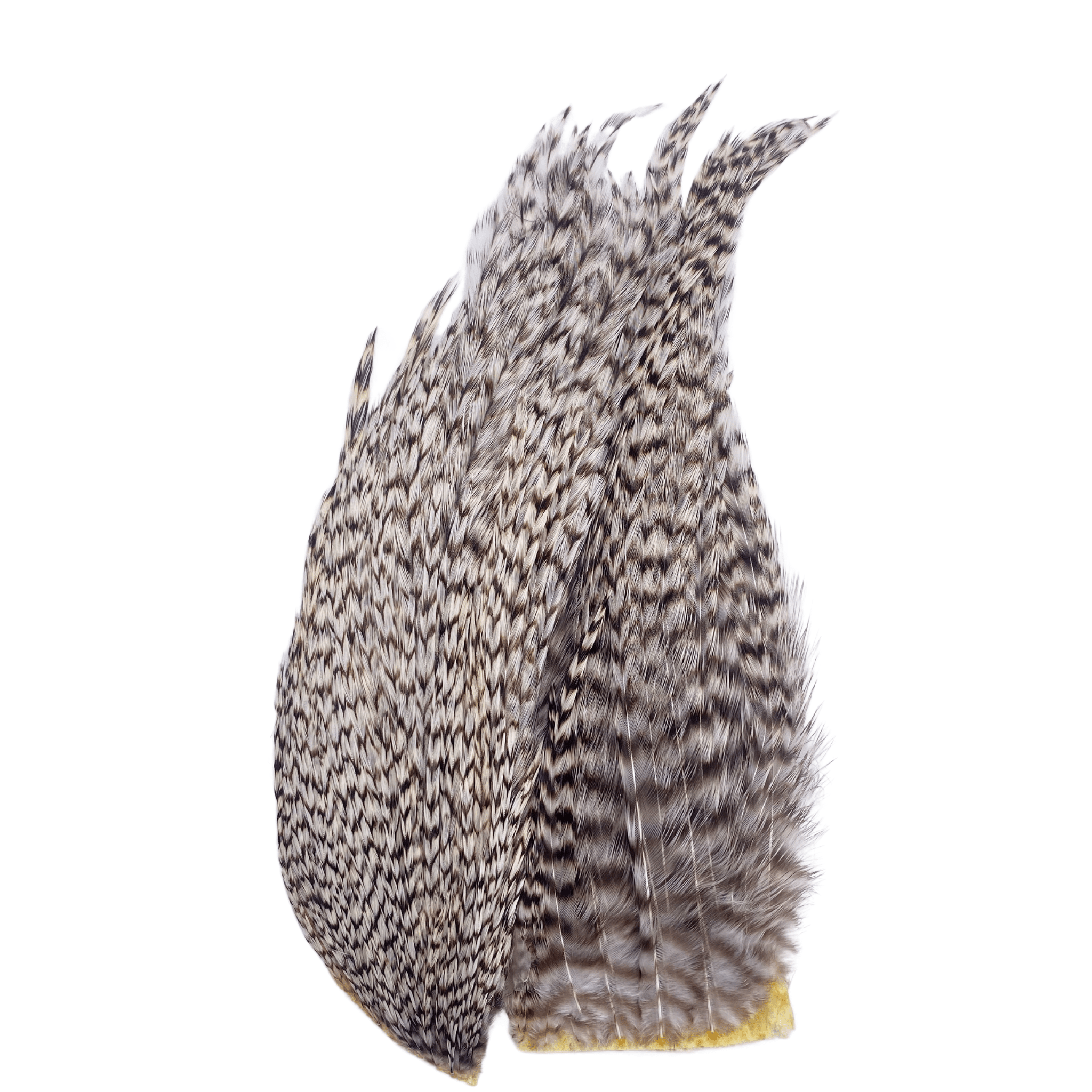 Whiting Bugger Pack - The Blue Quill Angler