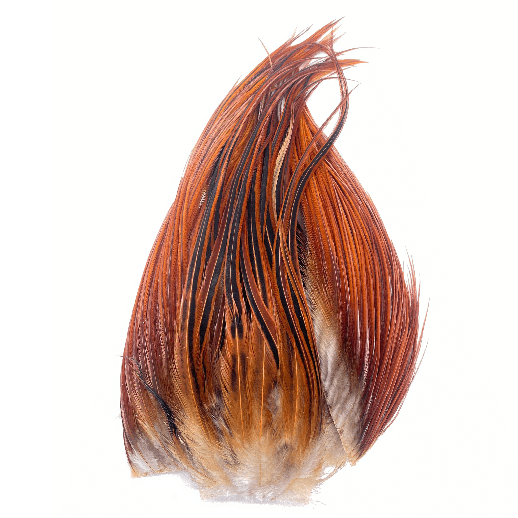 Whiting Bugger Pack - The Blue Quill Angler