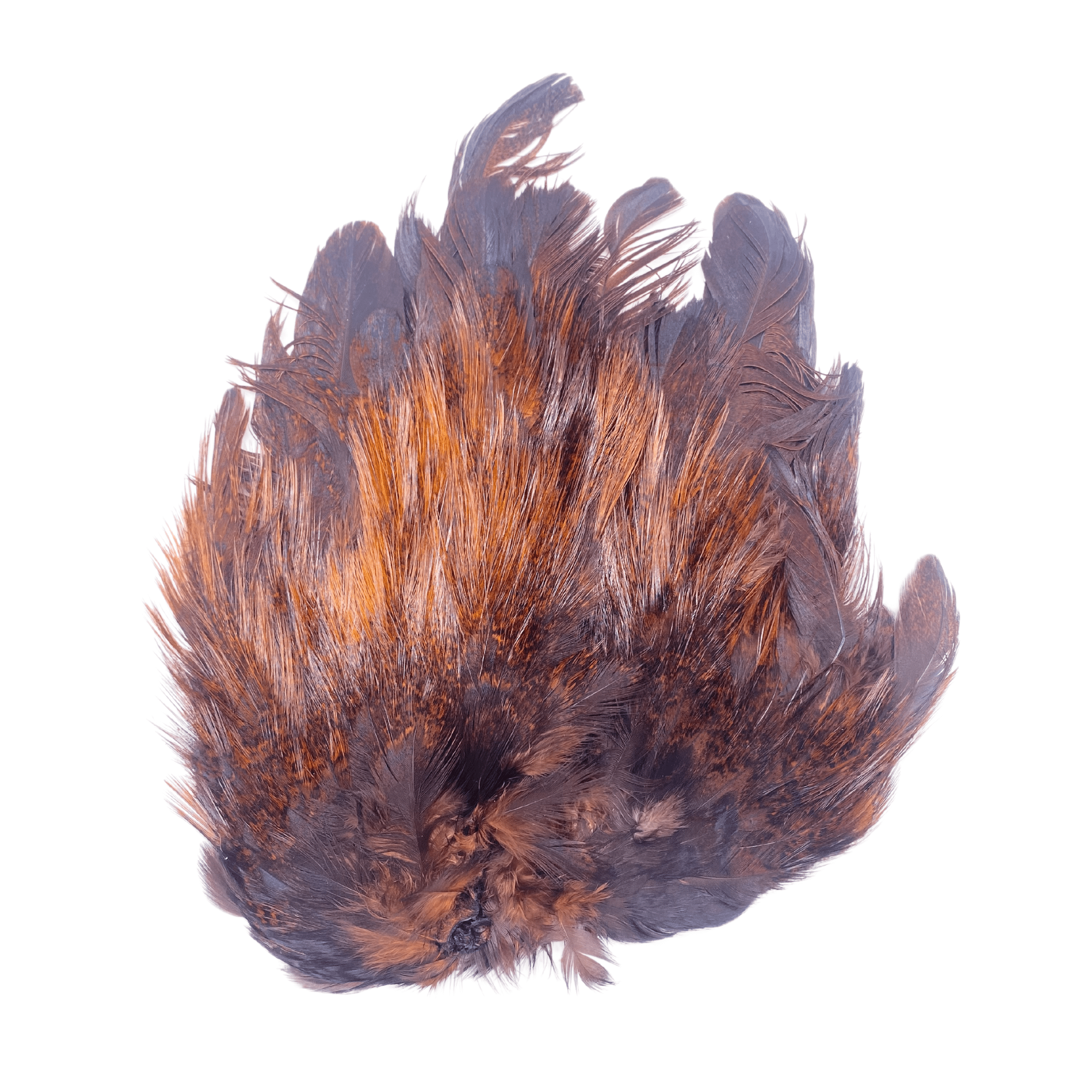 Whiting Cdl Mayfly Tailing Pack - The Blue Quill Angler