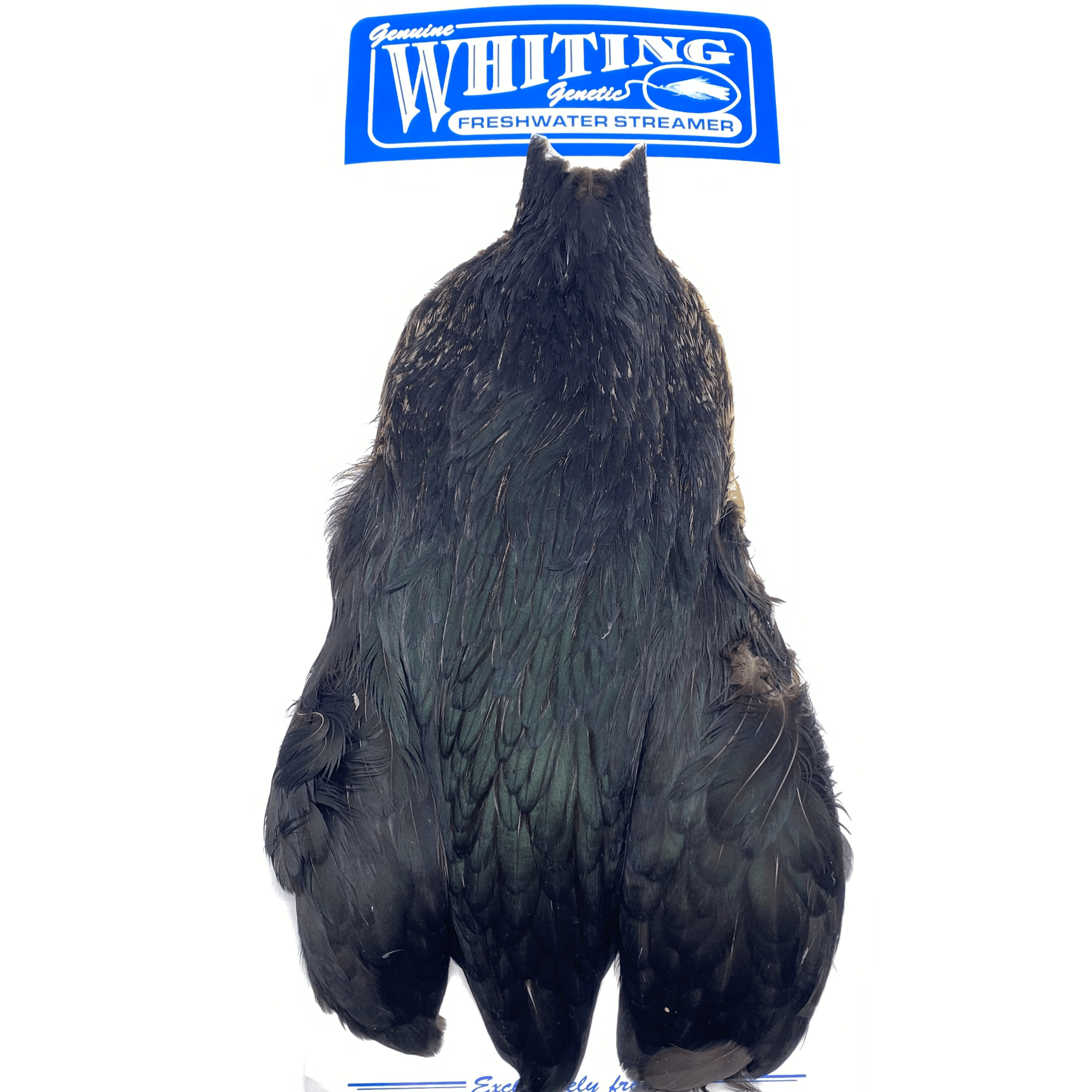 Whiting Freshwater Streamer Rooster Cape - The Blue Quill Angler