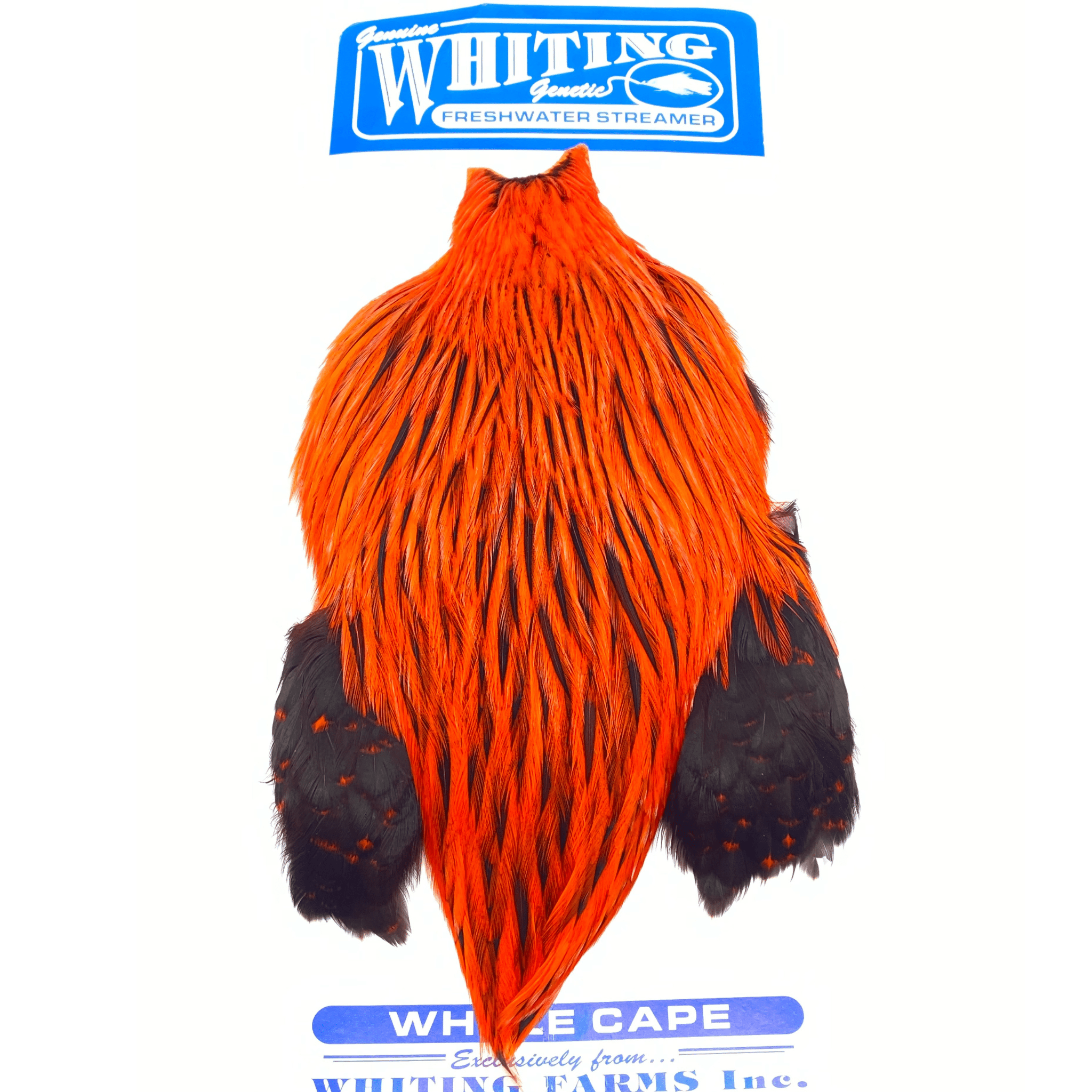 Whiting Freshwater Streamer Rooster Cape - The Blue Quill Angler