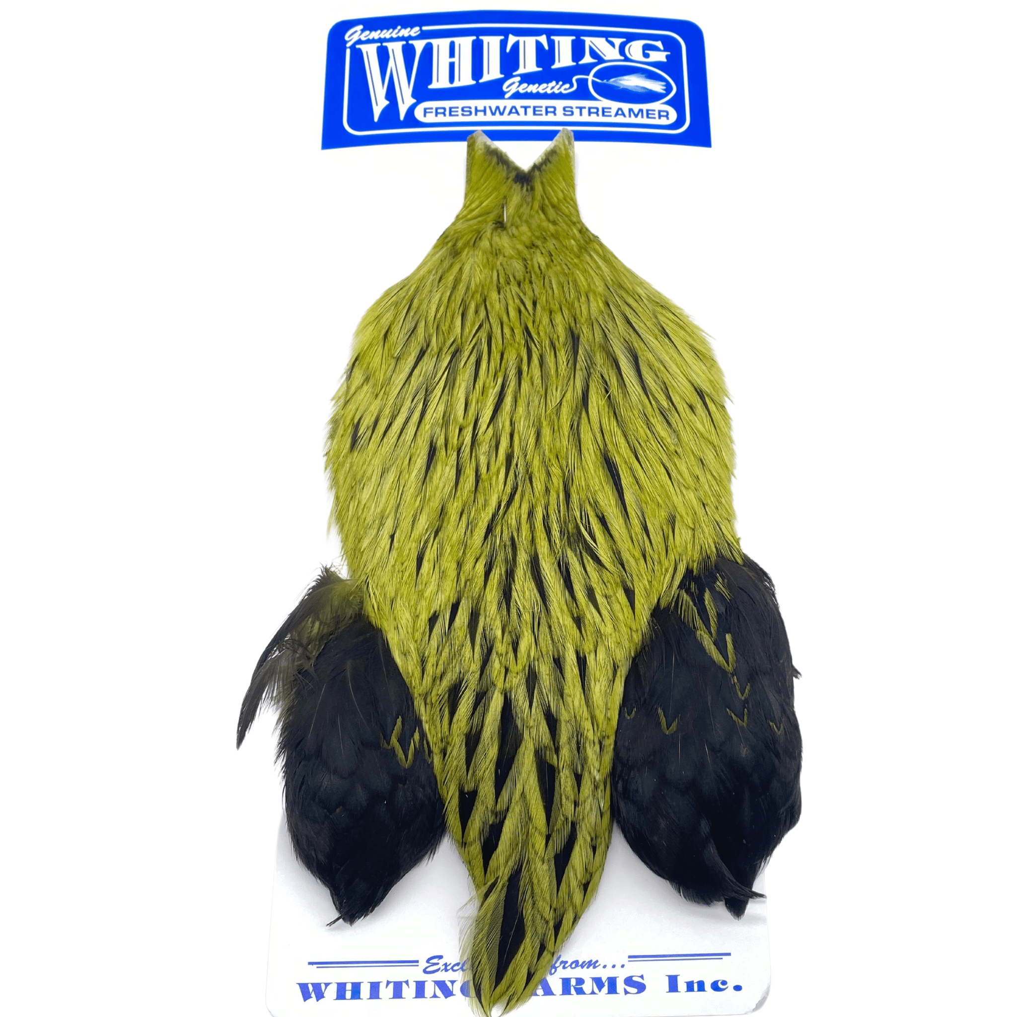 Whiting Freshwater Streamer Rooster Cape - The Blue Quill Angler