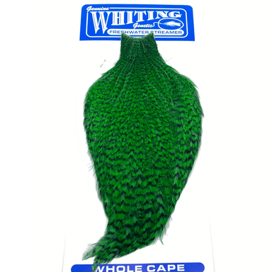 Whiting Freshwater Streamer Rooster Cape - The Blue Quill Angler
