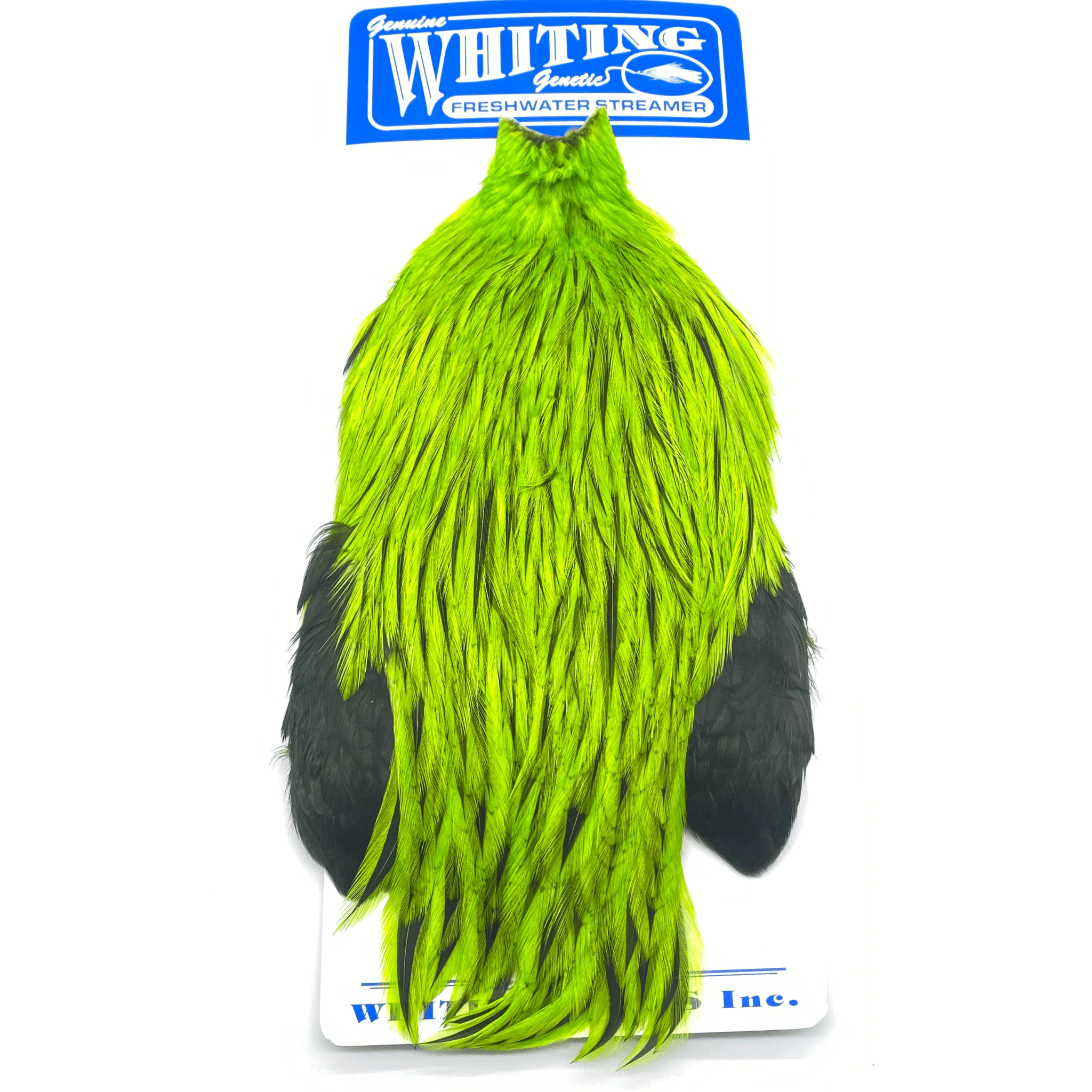 Whiting Freshwater Streamer Rooster Cape - The Blue Quill Angler