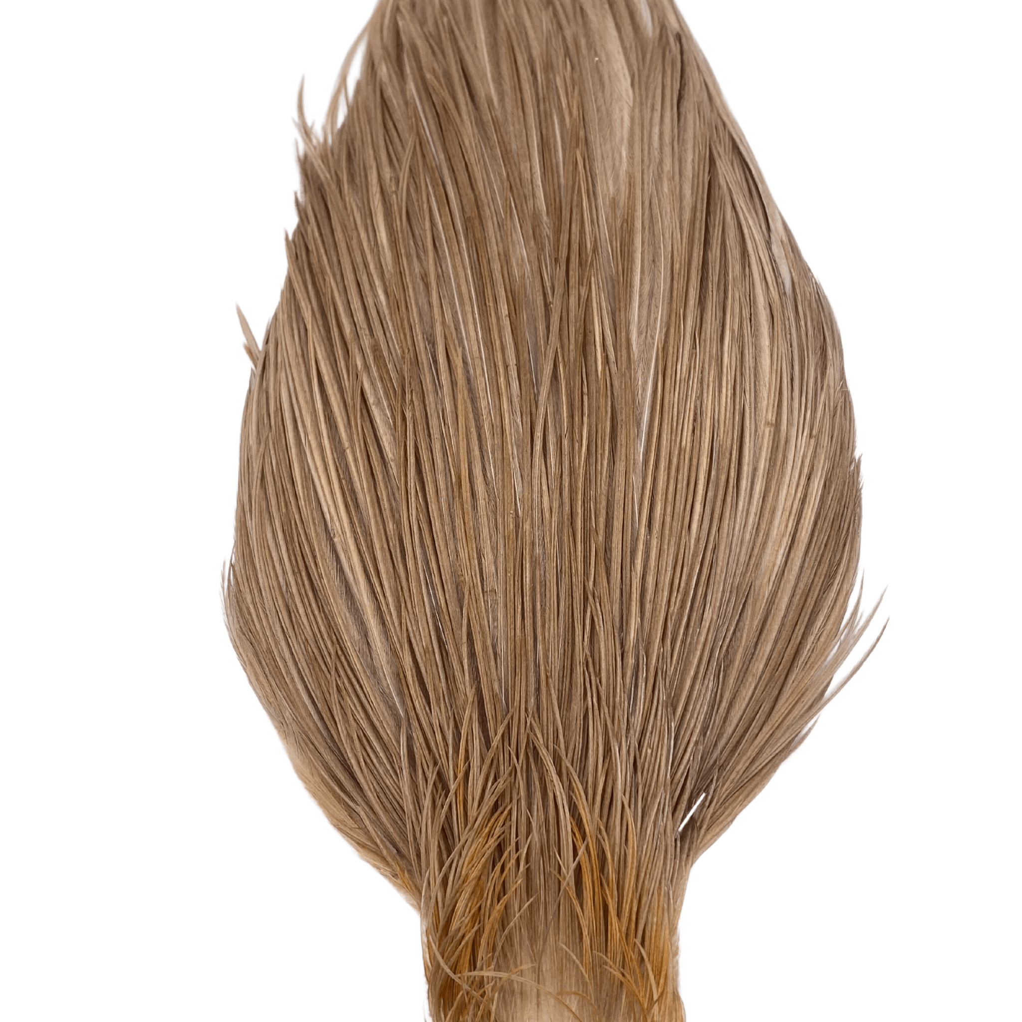 Whiting Hebert Miner Cape - Bronze Grade - The Blue Quill Angler