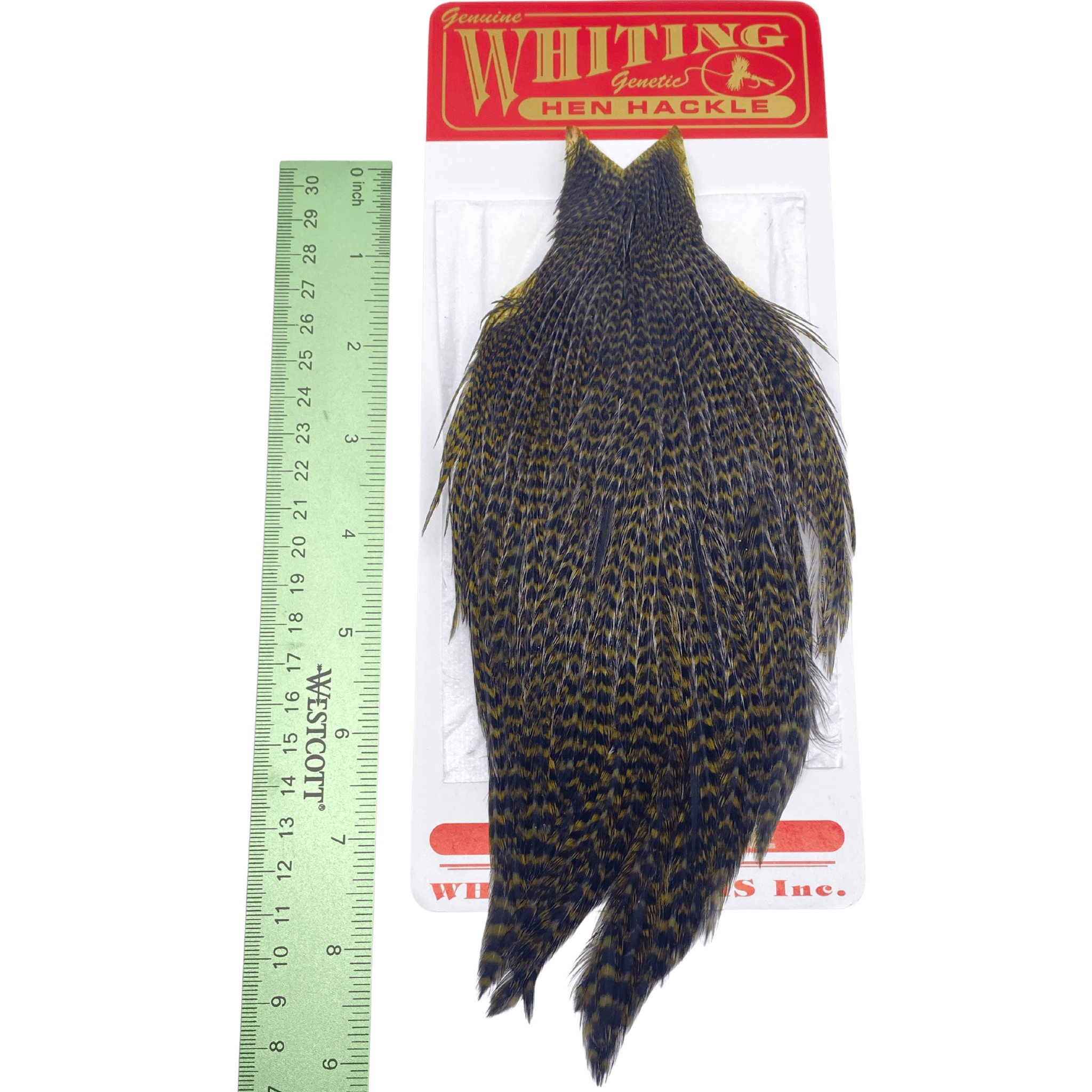 Whiting Hen Cape - The Blue Quill Angler