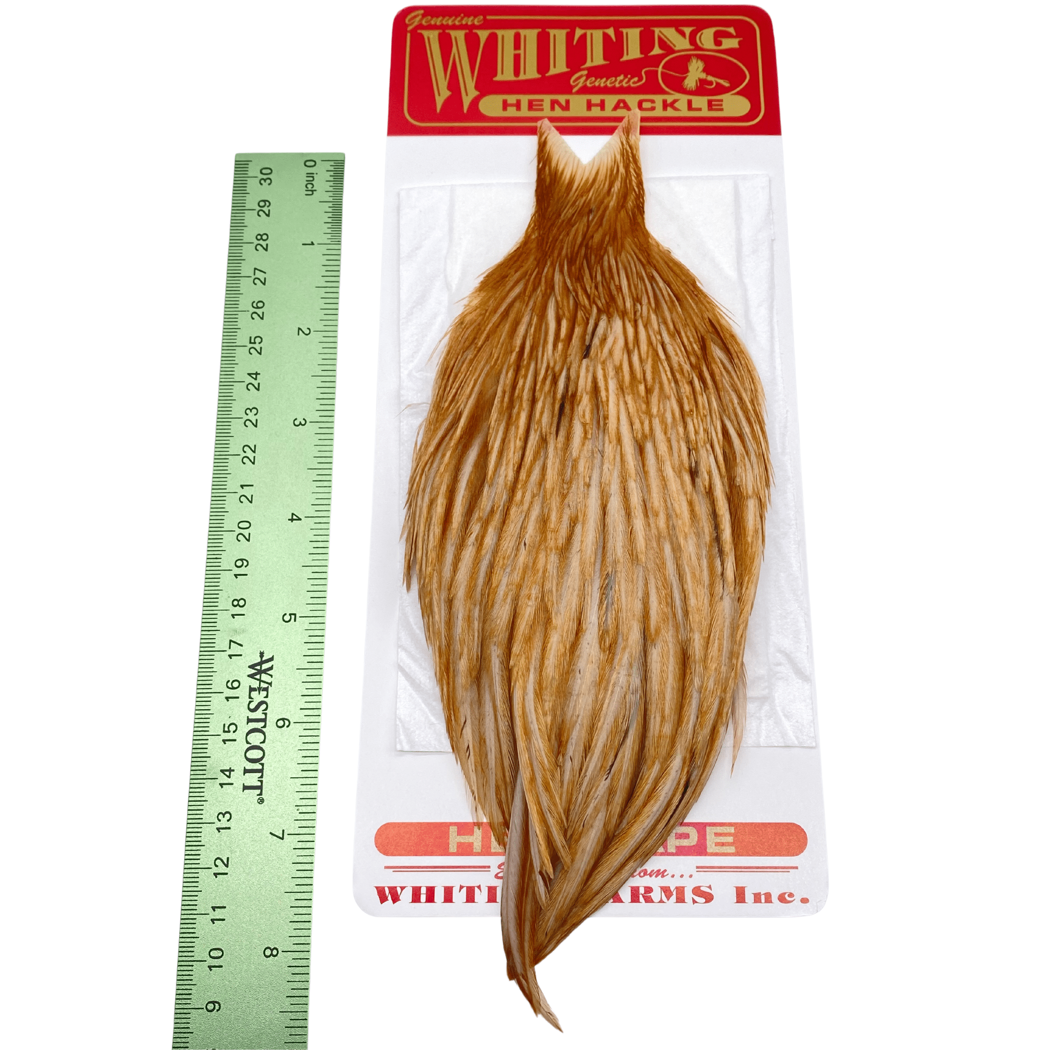Whiting Hen Cape - The Blue Quill Angler