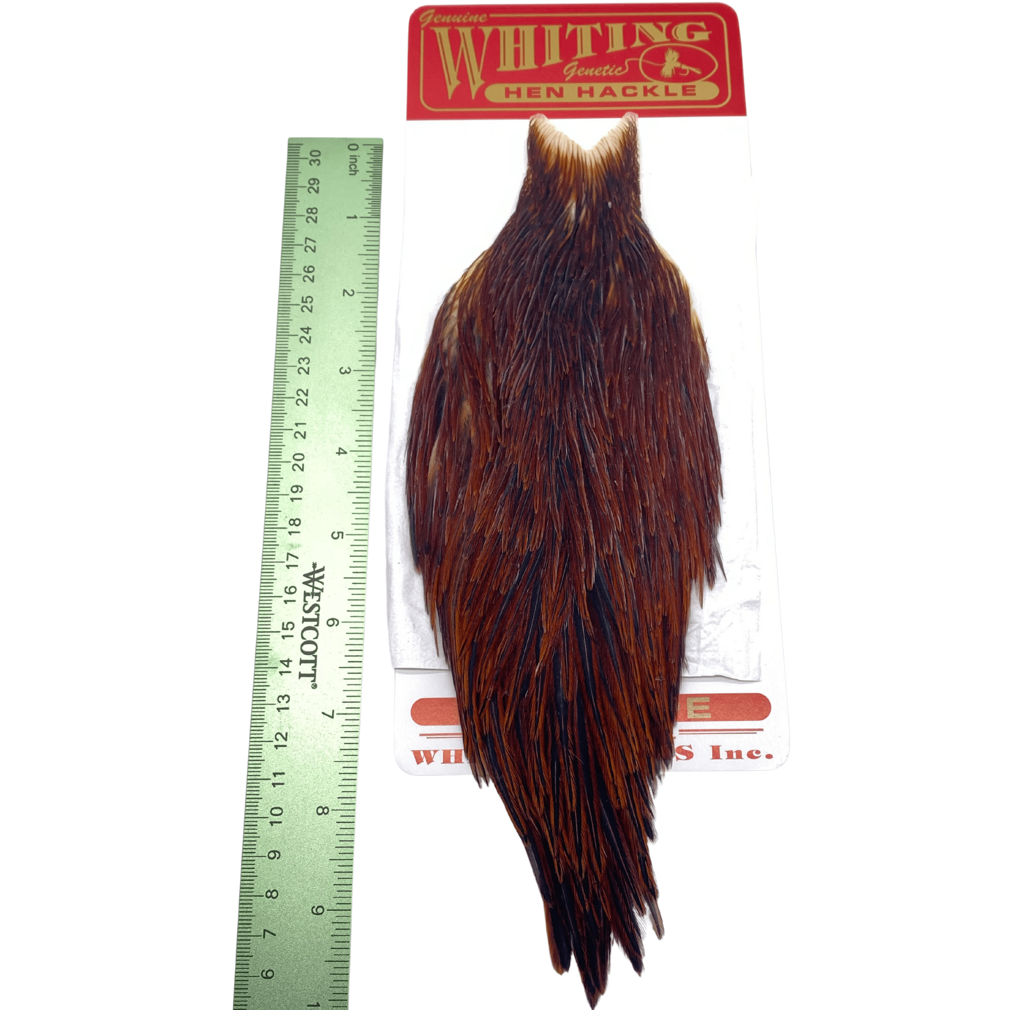 Whiting Hen Cape - The Blue Quill Angler