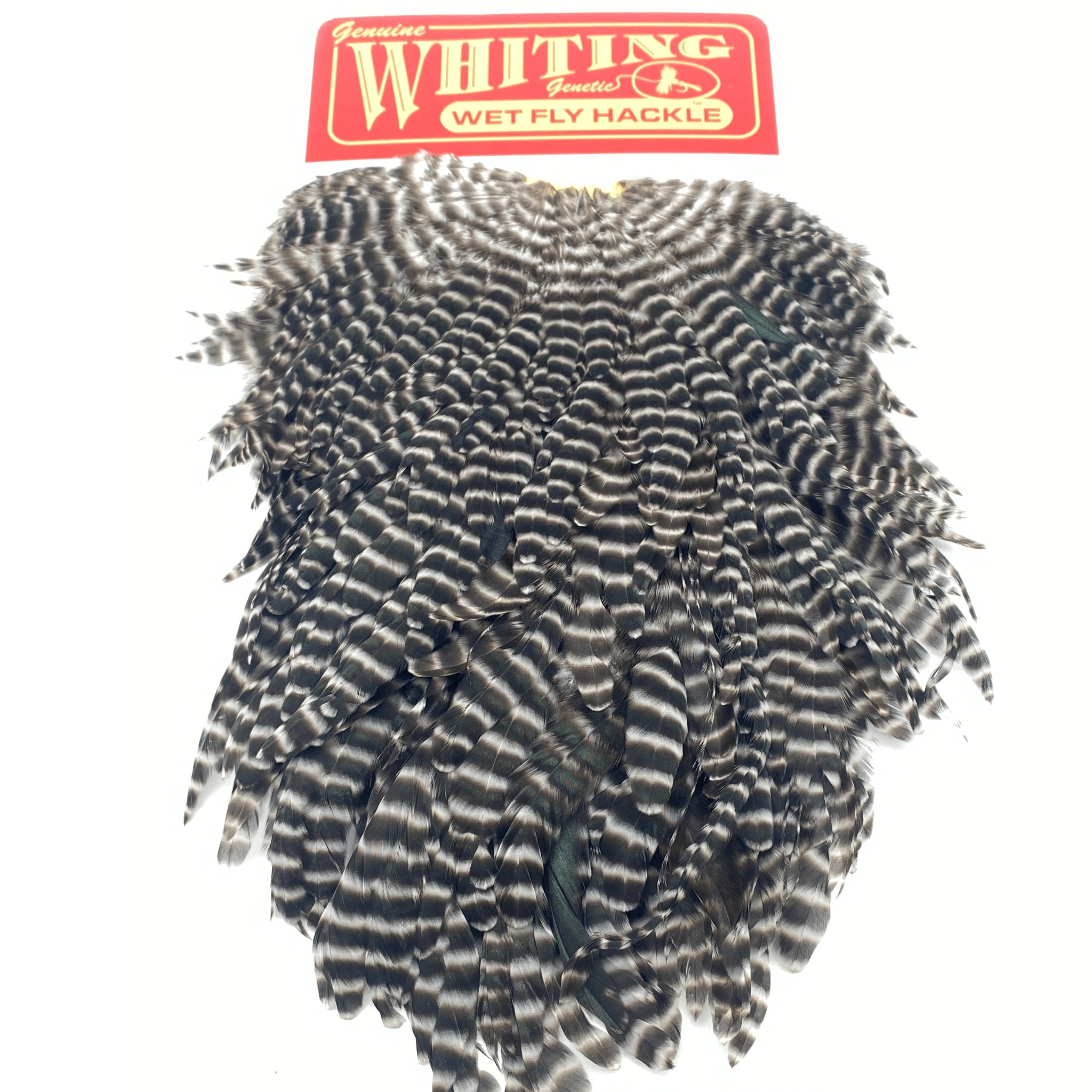 Whiting Hen Saddle - The Blue Quill Angler