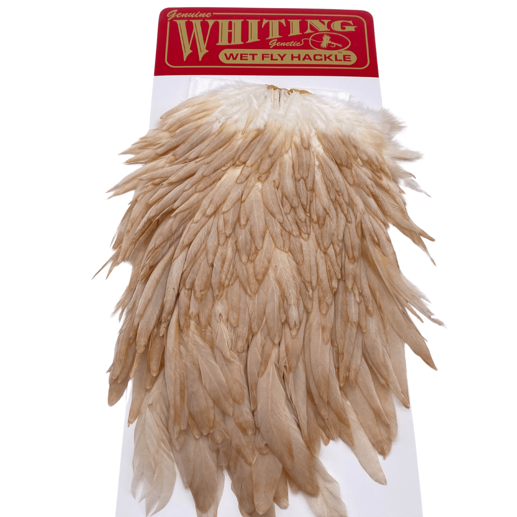 Whiting Hen Saddle - The Blue Quill Angler