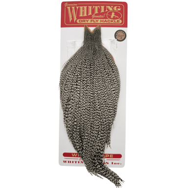Whiting Rooster Cape - Bronze Grade - The Blue Quill Angler