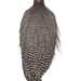 Whiting Rooster Cape - Silver Grade - The Blue Quill Angler